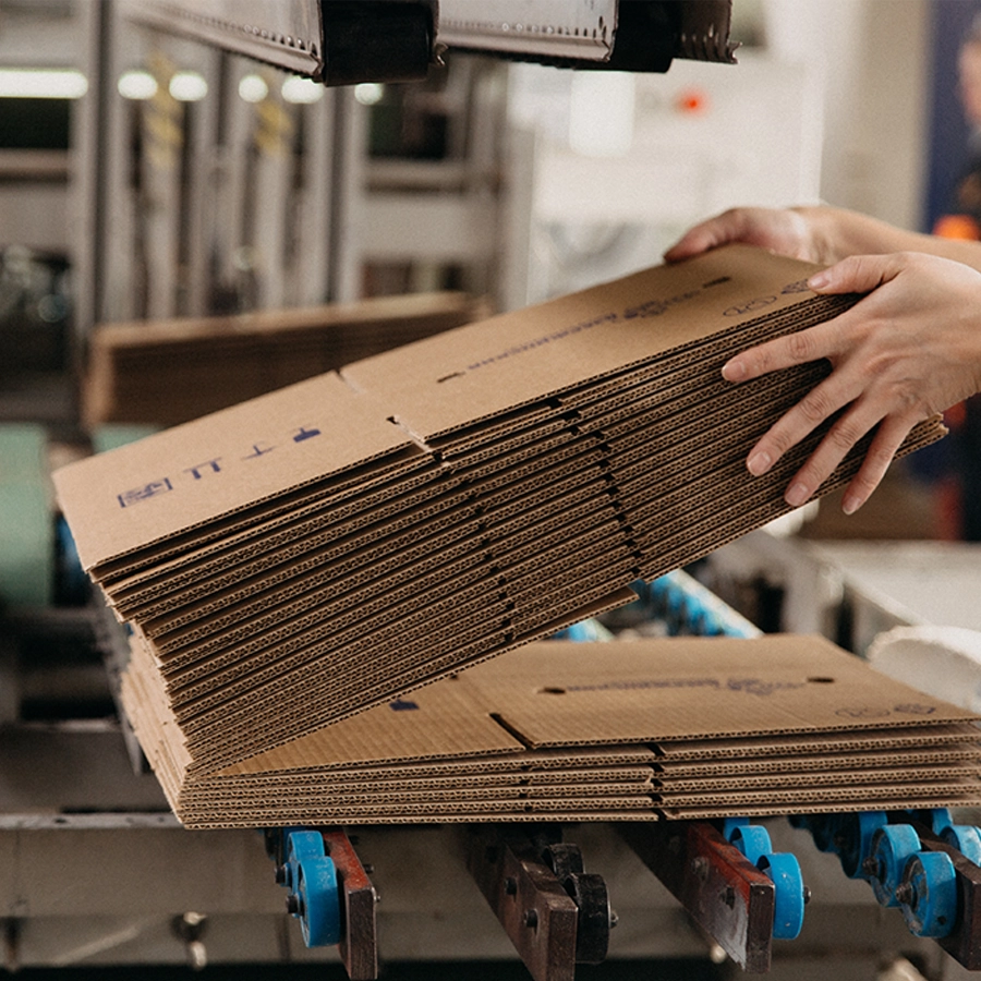Case Erector for cardboard boxes